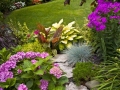 Colourful garden idea