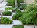 Herb garden idea