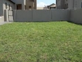 Instant lawn