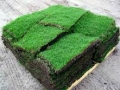 Instant lawn before installation