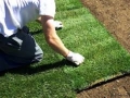 Instant lawn installation