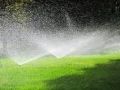 Instant lawn needs to be watered daily