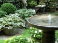 Let us design you a potted garden
