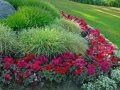 Low maintenance garden design