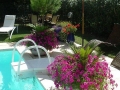 Pool garden