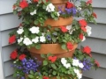 Potted garden