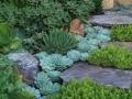 Succulant Garden