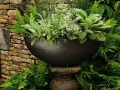 Urn surrounded by ferns. Perfect for a shady area