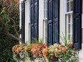 Window box