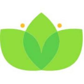 Gecko Lawns & Landscapers logo